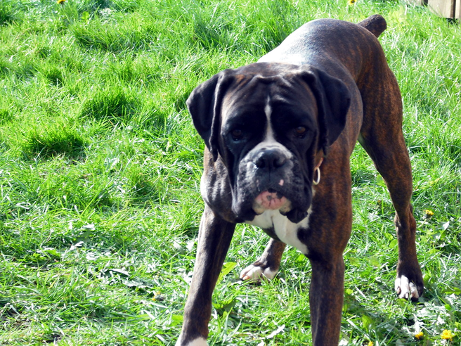 Betty april 5th 09