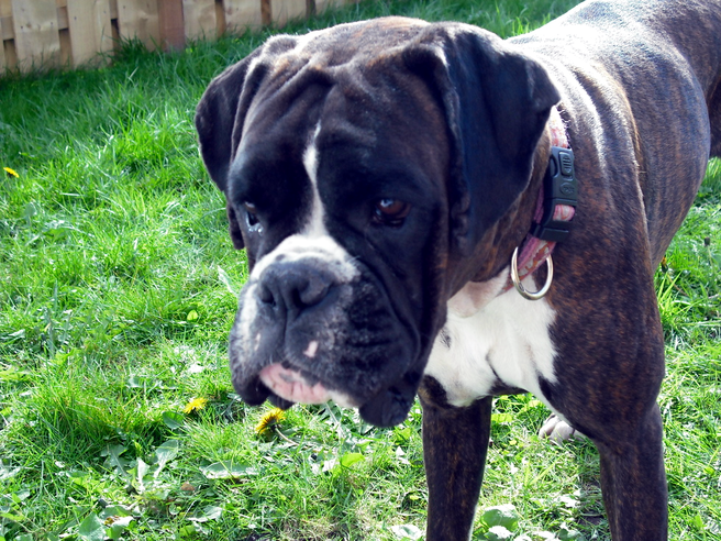 Betty april 5th 09