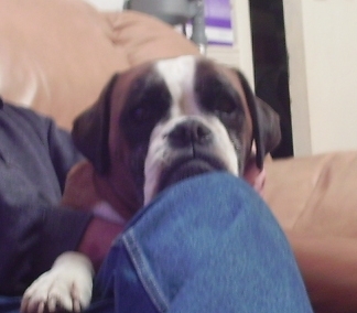 Rosie sitting with dad