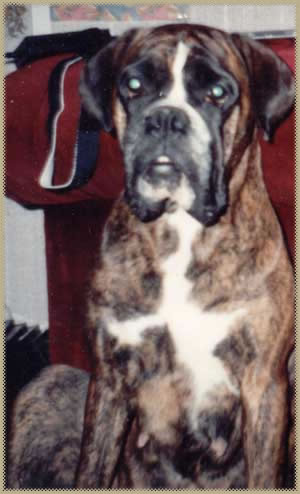 My Troy